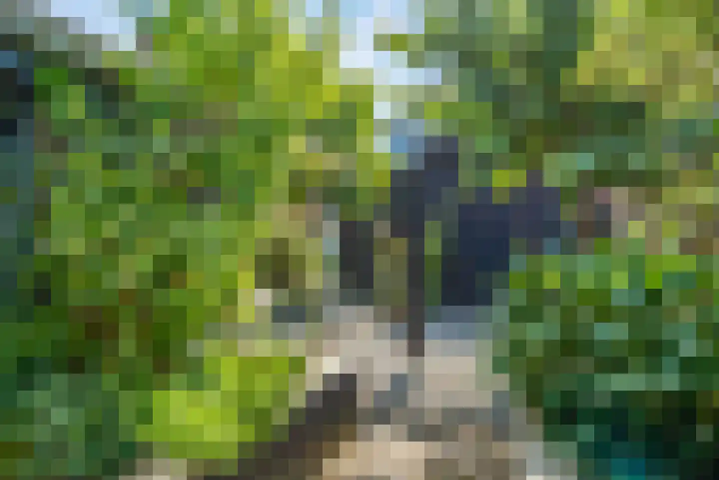 Piet Heinstraat 5 Delfzijl thumbnail 55