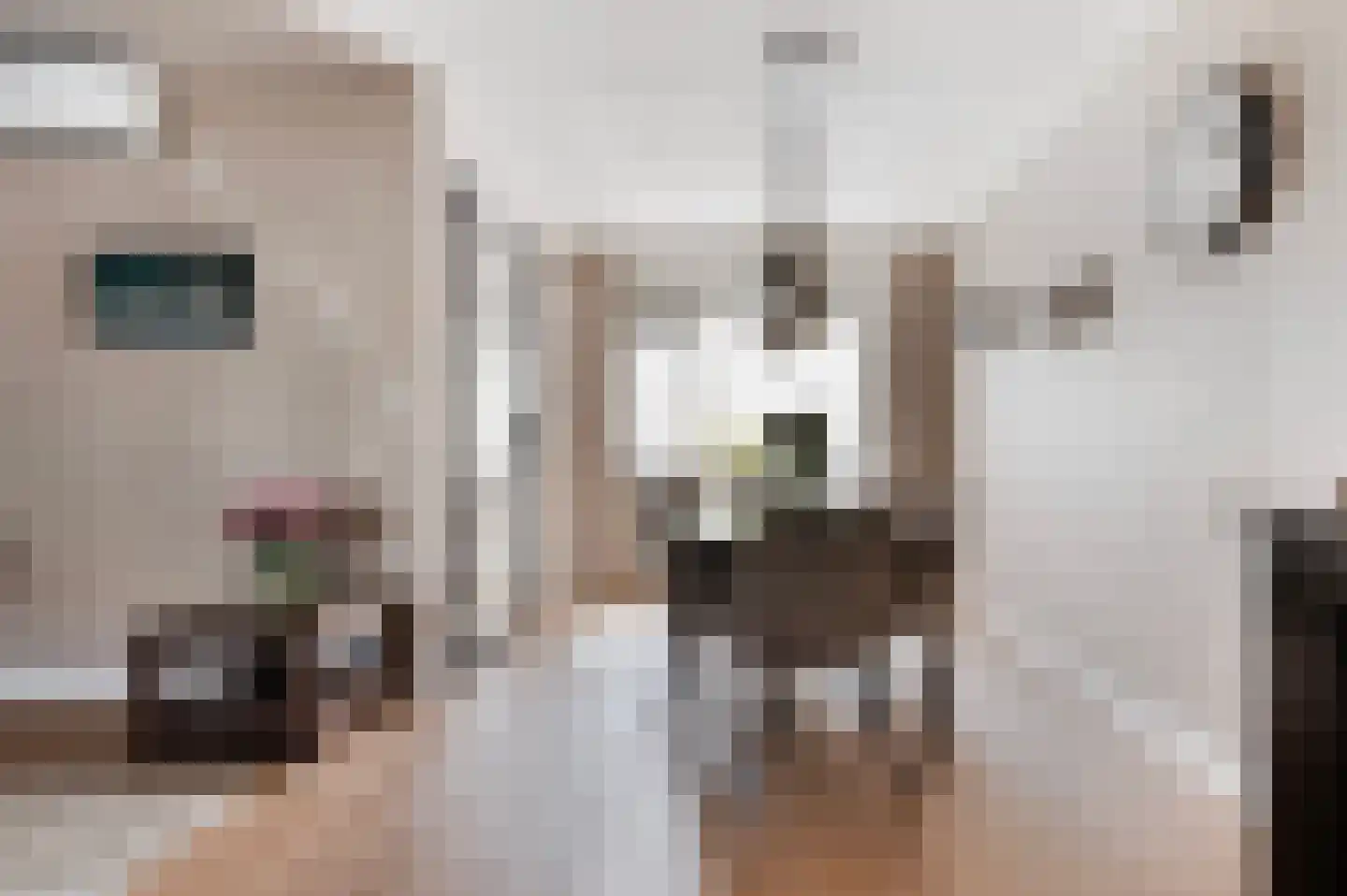 Piet Heinstraat 5 Haaksbergen thumbnail 15