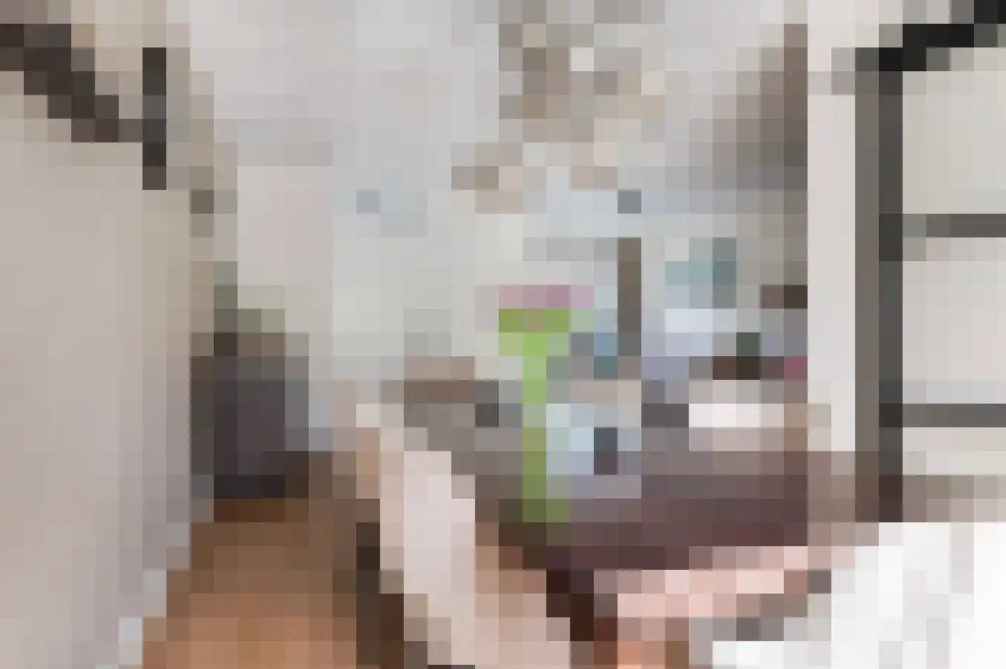 Piet Heinstraat 5 Haaksbergen thumbnail 17