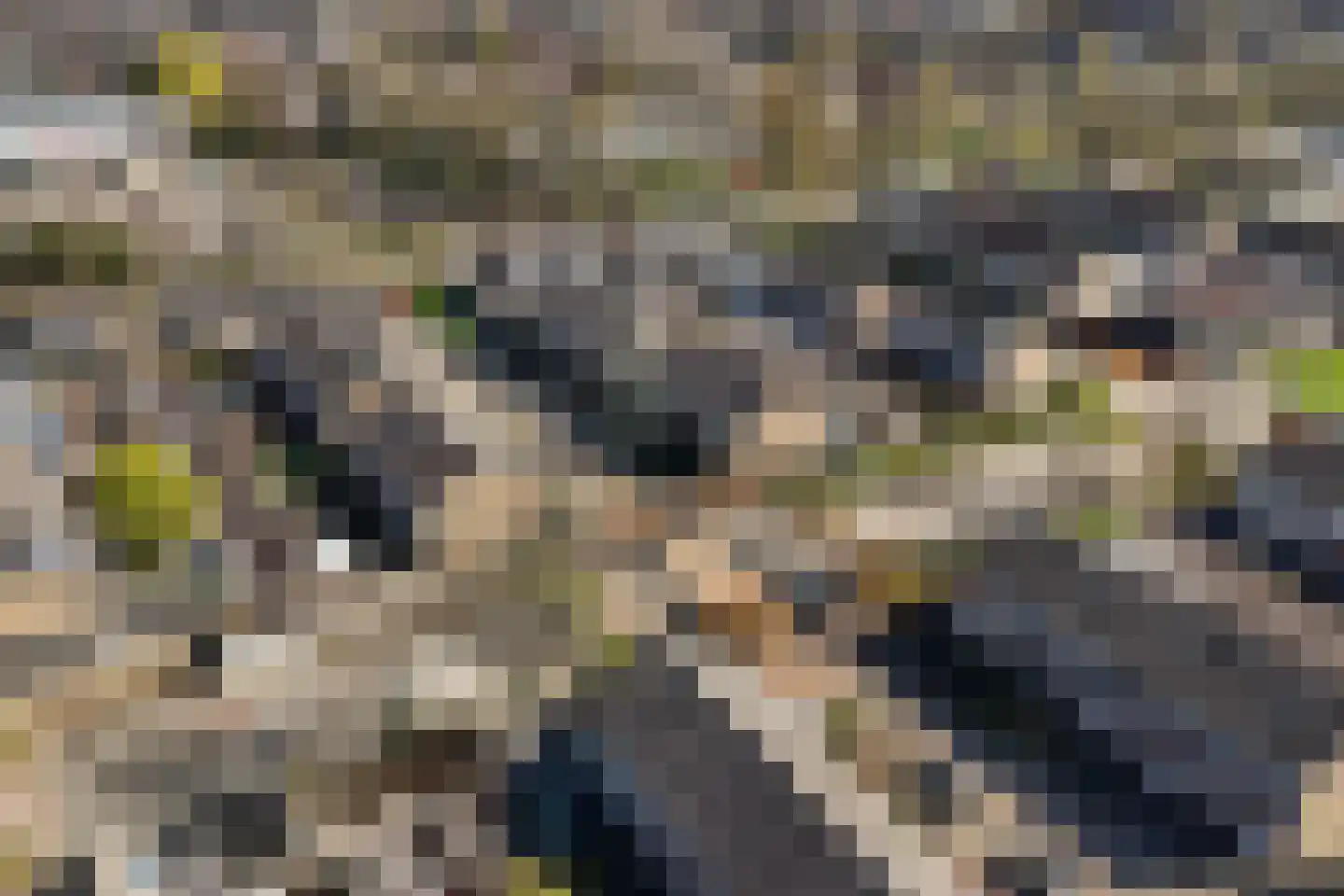 Piet Heinstraat 5 Haaksbergen thumbnail 37
