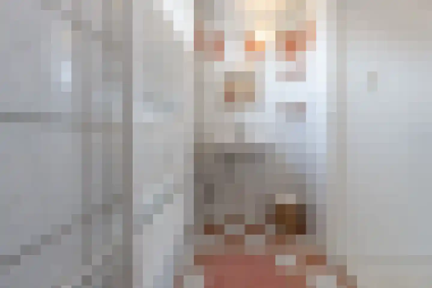 Piet Heinstraat 5 Heinenoord thumbnail 23
