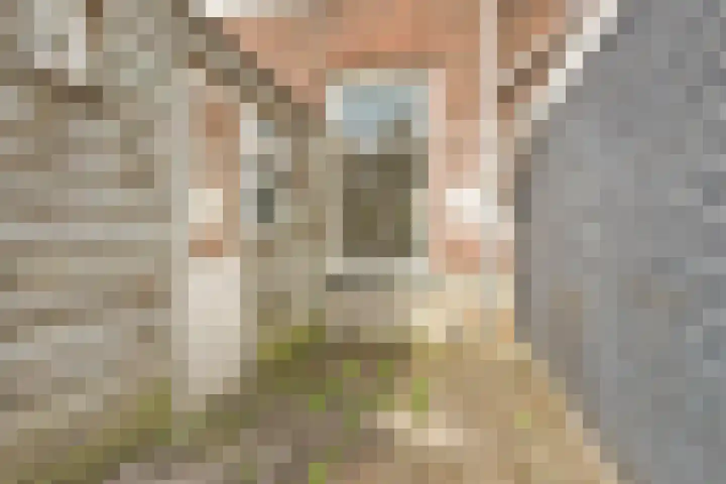 Piet Heinstraat 5 Utrecht thumbnail 12
