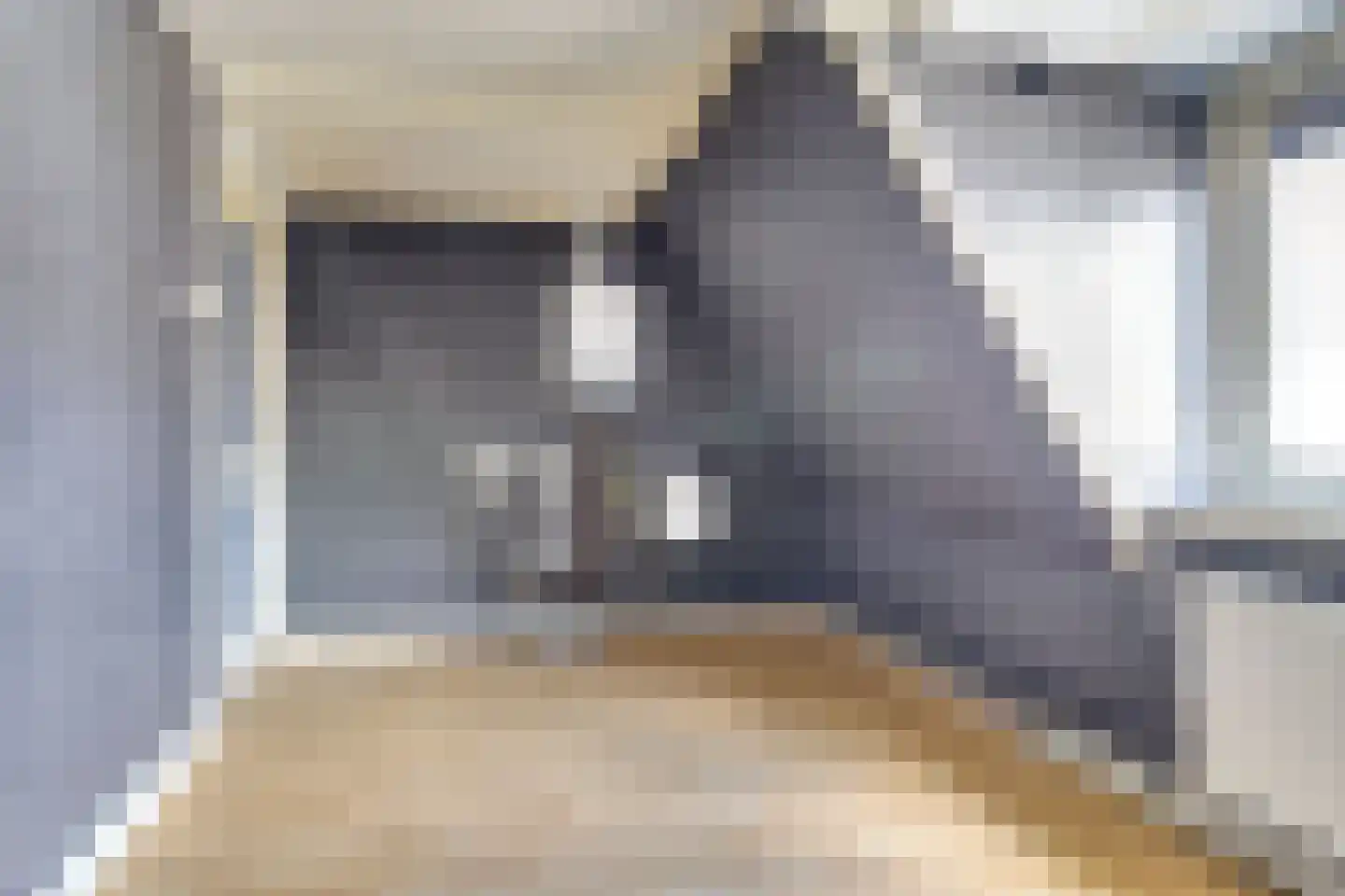 Piet Heinstraat 5 Utrecht thumbnail 23