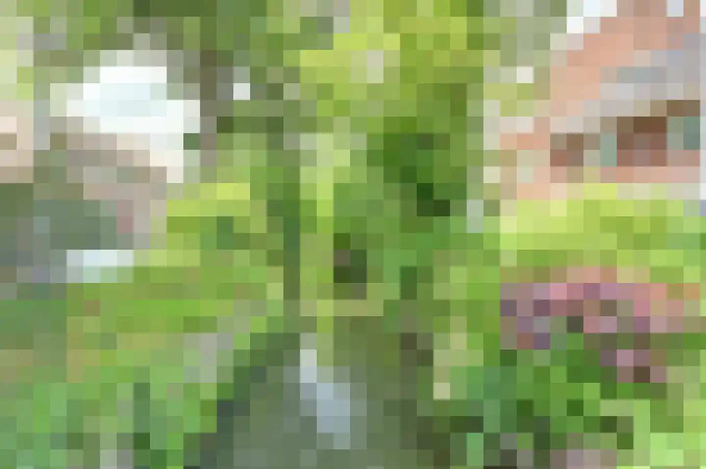 Piet Heinstraat 5 Utrecht thumbnail 27