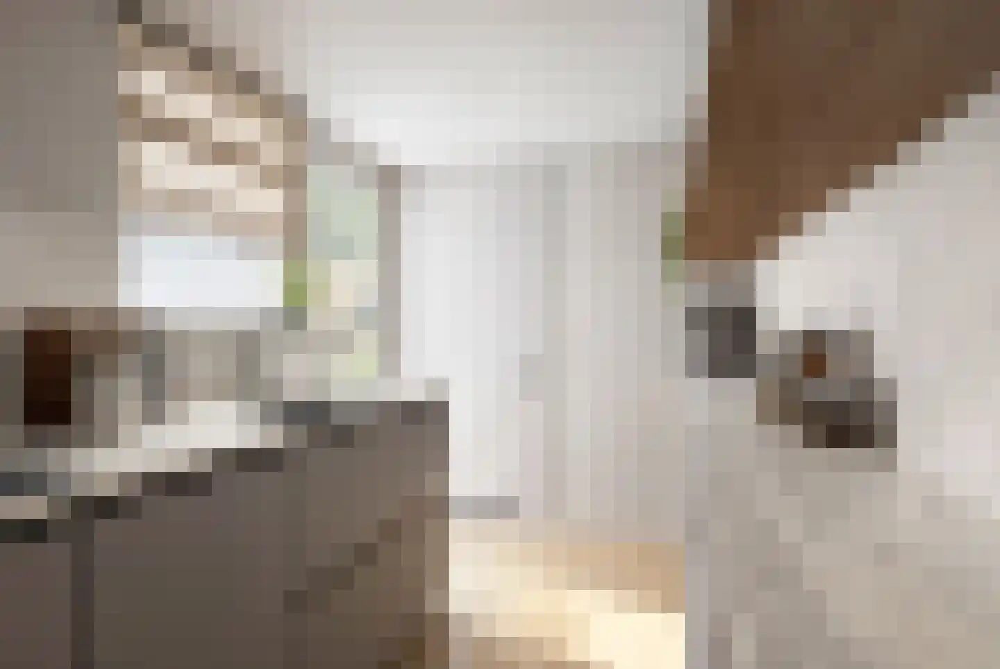 Piet Heinstraat 5 Utrecht thumbnail 7