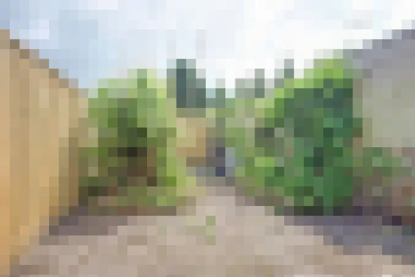 Piet Heinstraat 5 Utrecht thumbnail 9