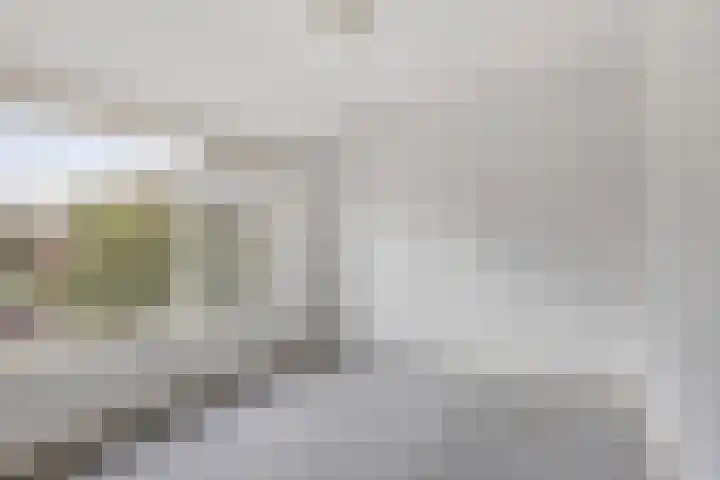 Piet Heinstraat 5 Waalre thumbnail 14