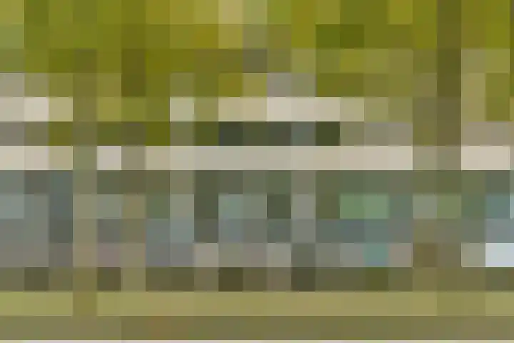 Piet Heinstraat 5 Waalre thumbnail 18