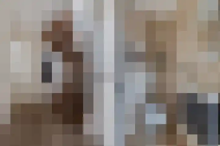Piet Heinstraat 5 Waalre thumbnail 21