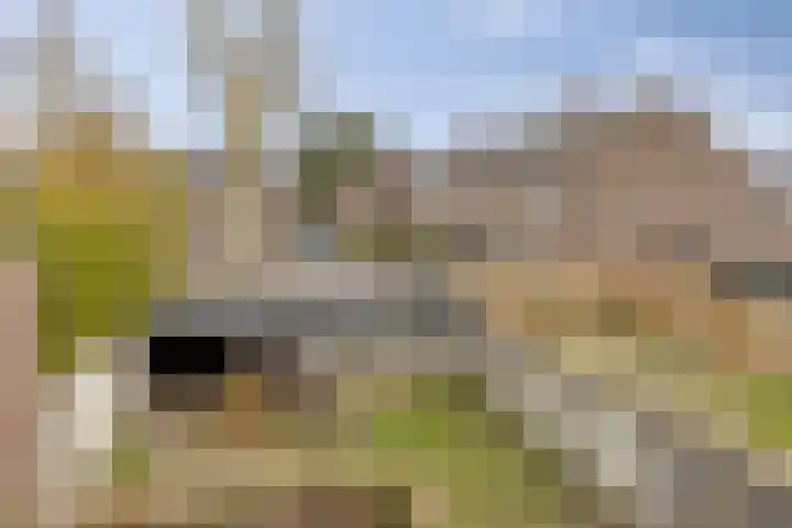 Piet Heinstraat 5 Waalre thumbnail 22