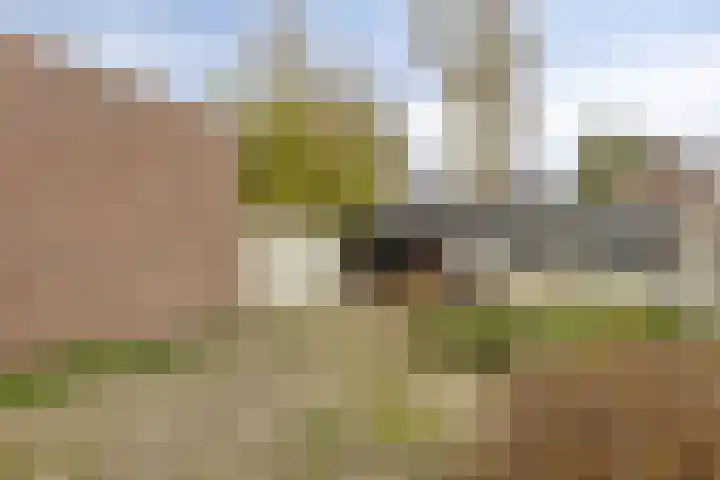 Piet Heinstraat 5 Waalre thumbnail 23
