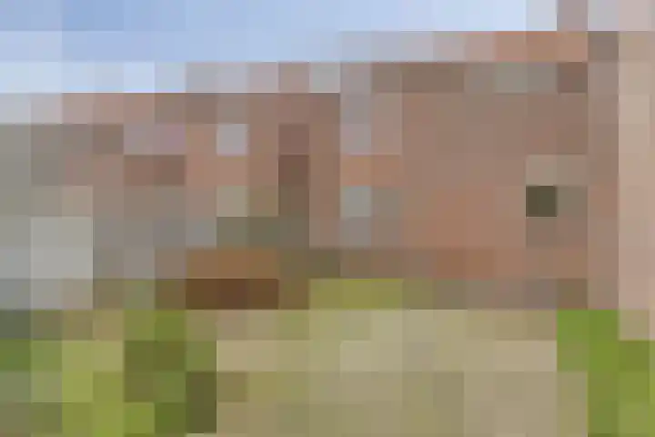 Piet Heinstraat 5 Waalre thumbnail 25