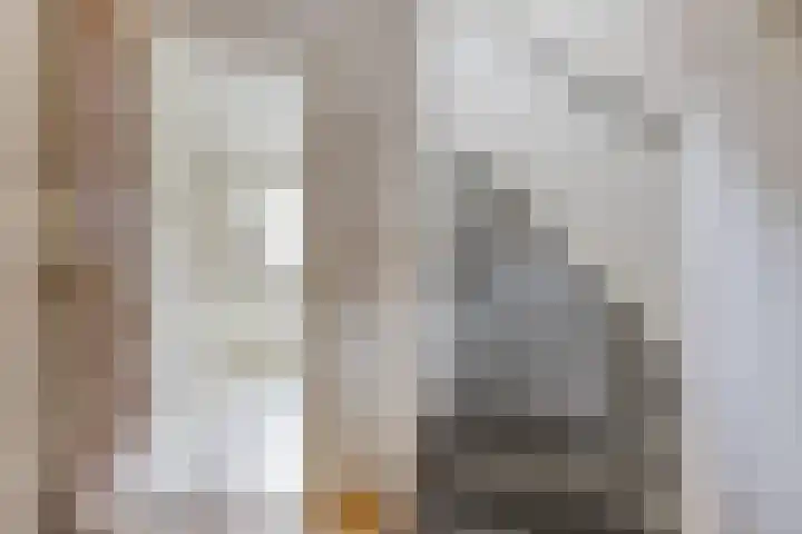 Piet Heinstraat 5 Waalre foto 3