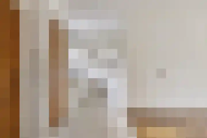 Piet Heinstraat 5 Waalre thumbnail 7