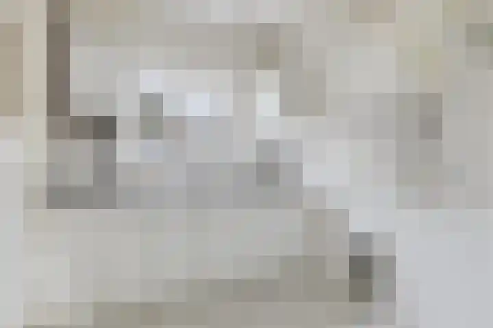 Piet Heinstraat 5 Waalre thumbnail 9