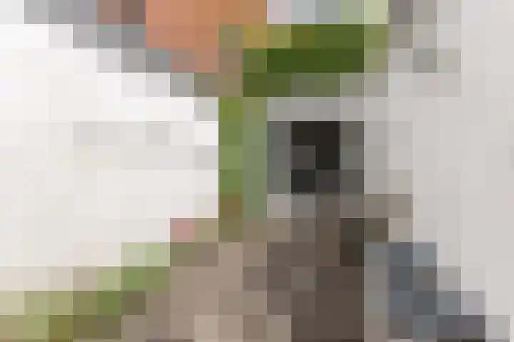 Piet Heinstraat 5 Wormerveer thumbnail 10