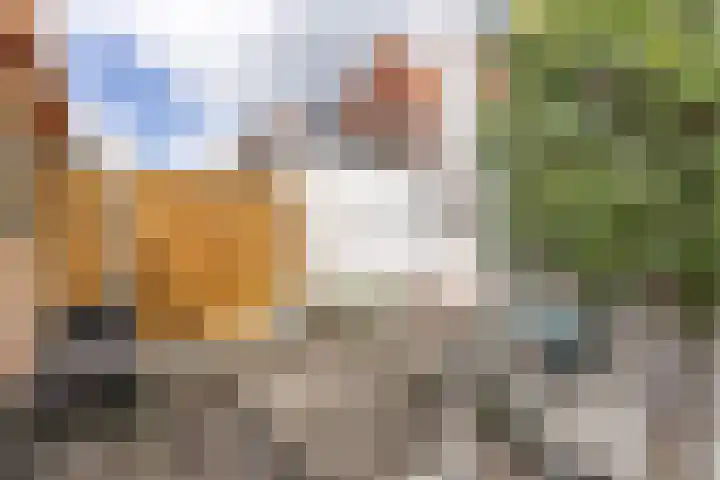 Piet Heinstraat 5 Wormerveer thumbnail 11