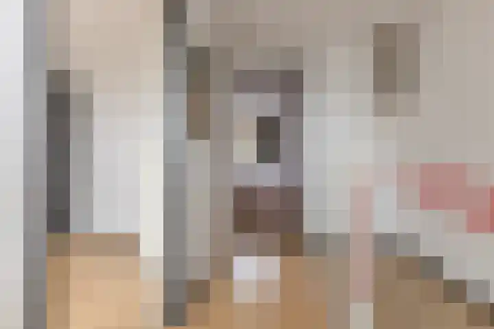 Piet Heinstraat 5 Wormerveer thumbnail 18