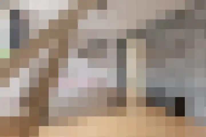 Piet Heinstraat 5 Wormerveer thumbnail 19