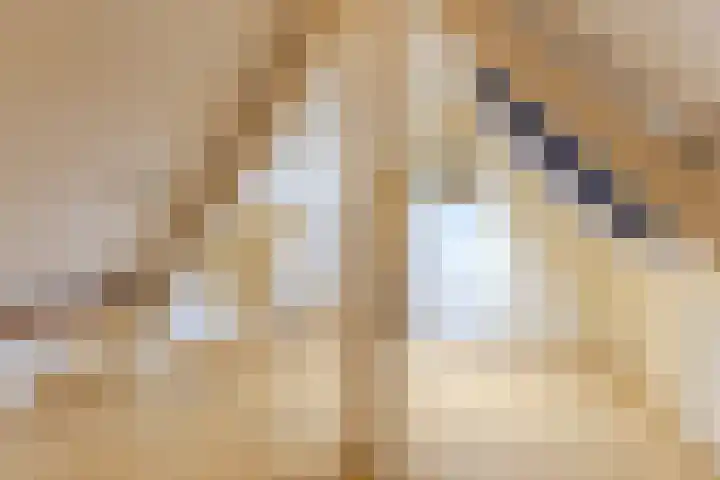 Piet Heinstraat 5 Wormerveer thumbnail 26