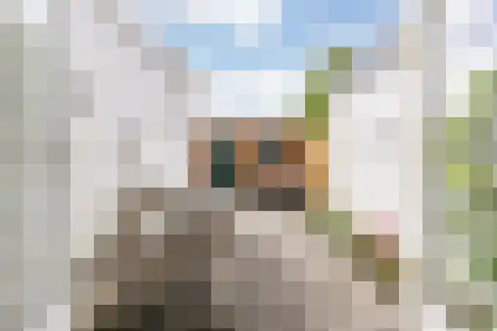 Piet Heinstraat 5 Wormerveer thumbnail 8