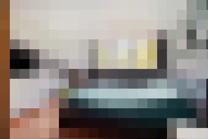 Piet Heinstraat 51 Boxmeer thumbnail 13