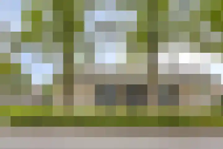 Piet Heinstraat 51 Boxmeer thumbnail 18