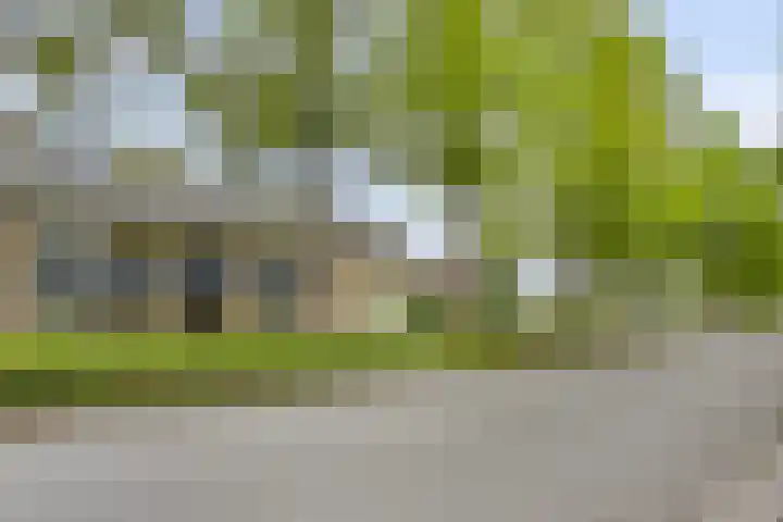 Piet Heinstraat 51 Boxmeer thumbnail 19
