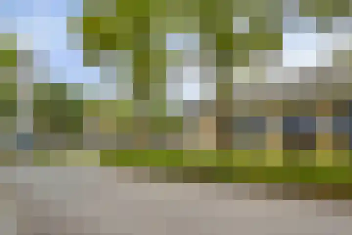 Piet Heinstraat 51 Boxmeer thumbnail 20