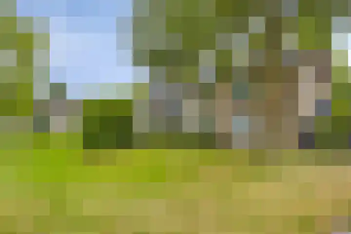 Piet Heinstraat 51 Boxmeer thumbnail 22