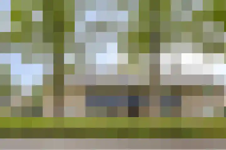 Piet Heinstraat 51 Boxmeer thumbnail 30