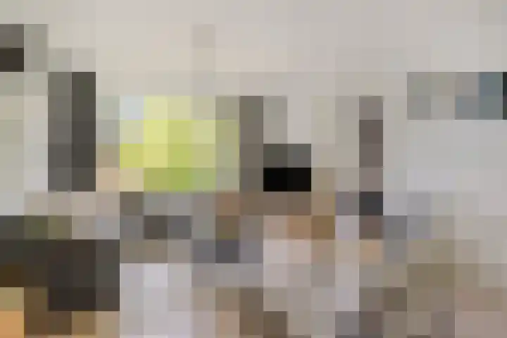 Piet Heinstraat 51 Boxmeer thumbnail 6
