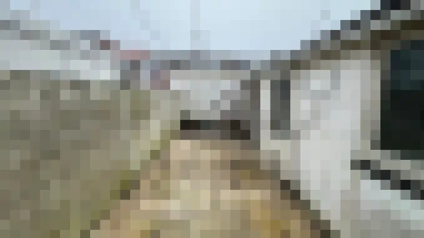 Piet Heinstraat 51 Den Helder thumbnail 24