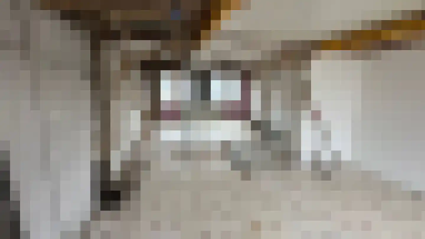 Piet Heinstraat 51 Den Helder thumbnail 27