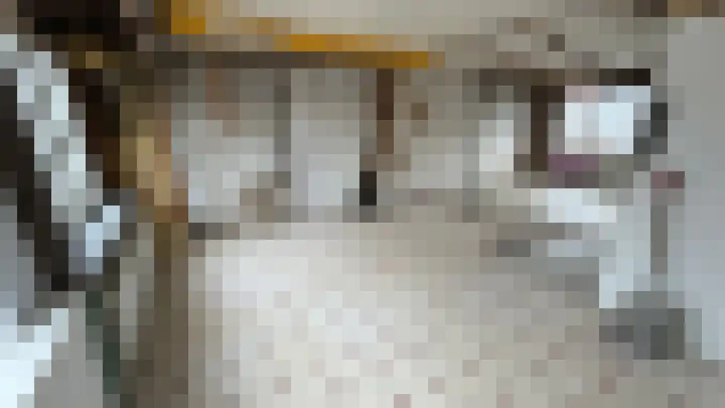 Piet Heinstraat 51 Den Helder thumbnail 28