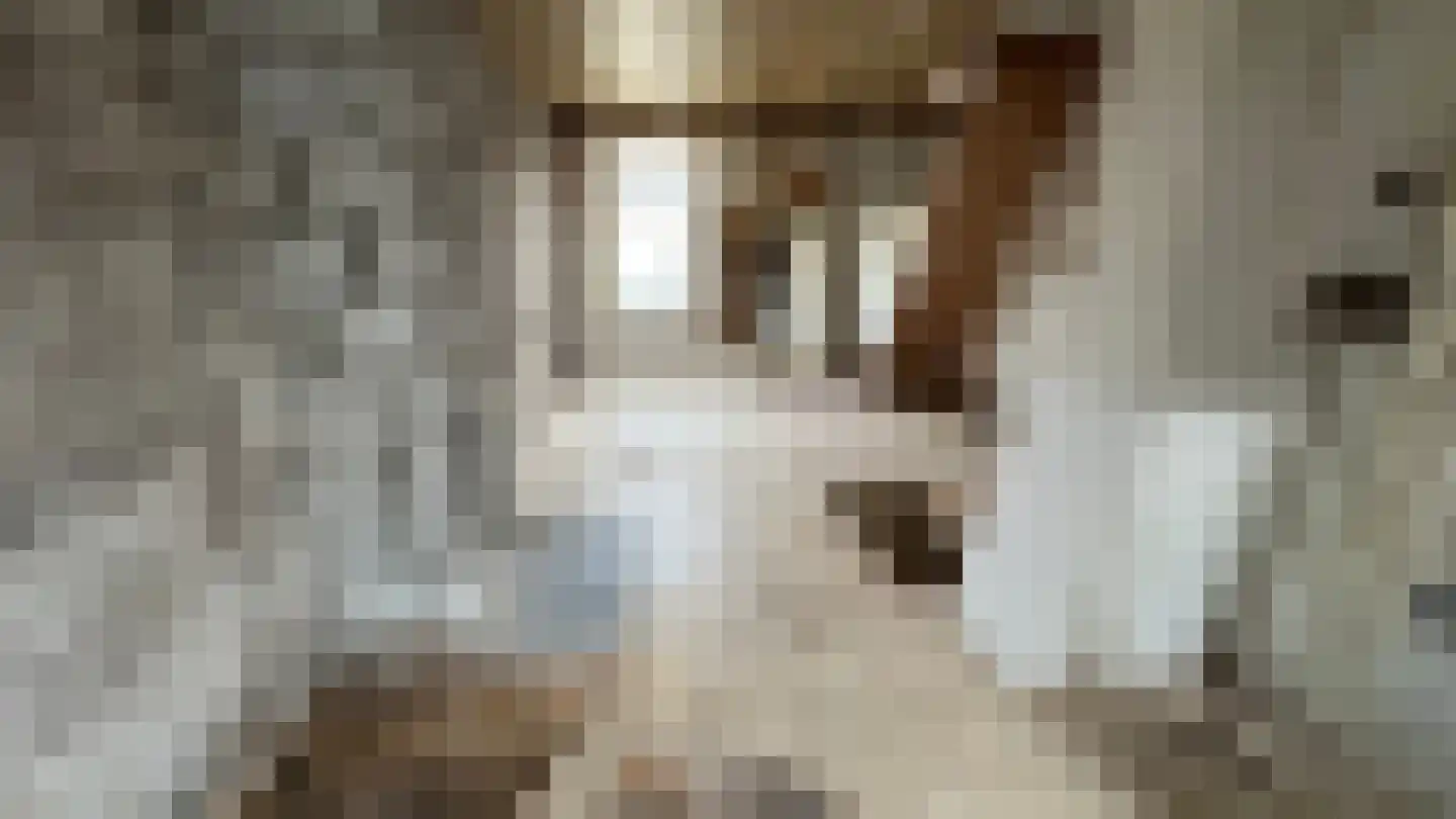 Piet Heinstraat 51 Den Helder thumbnail 7