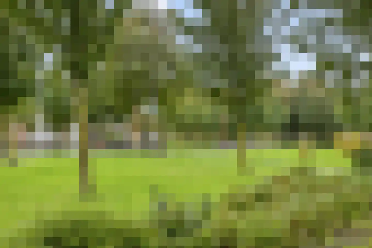 Piet Heinstraat 52 Den Helder thumbnail 25