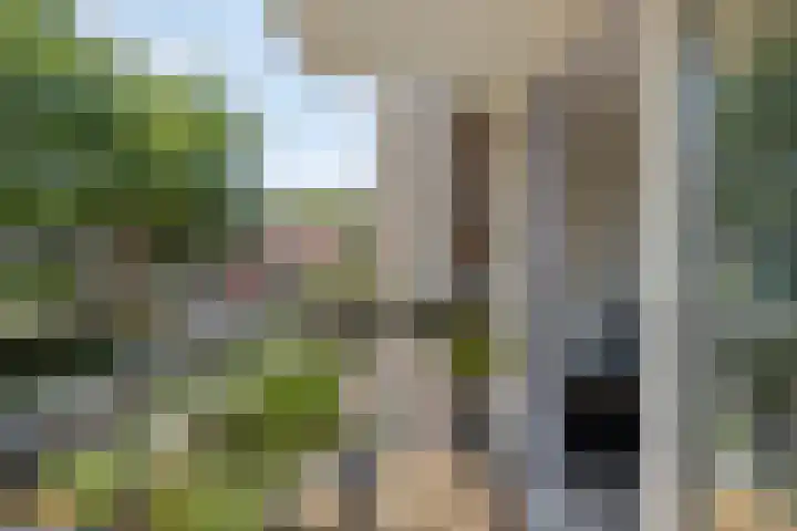 Piet Heinstraat 52 Maarssen thumbnail 11