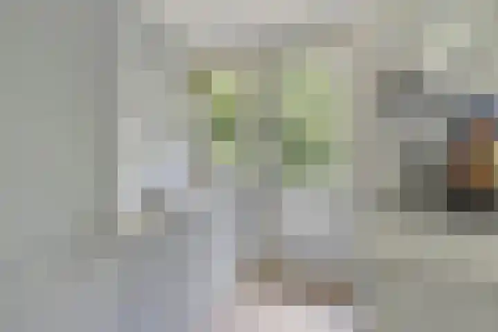 Piet Heinstraat 52 Maarssen thumbnail 12