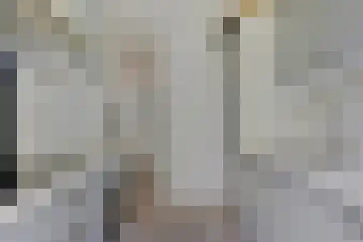 Piet Heinstraat 52 Maarssen thumbnail 13