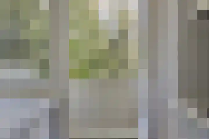 Piet Heinstraat 52 Maarssen thumbnail 15