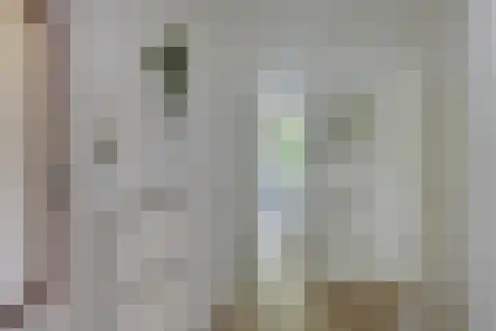 Piet Heinstraat 52 Maarssen thumbnail 16