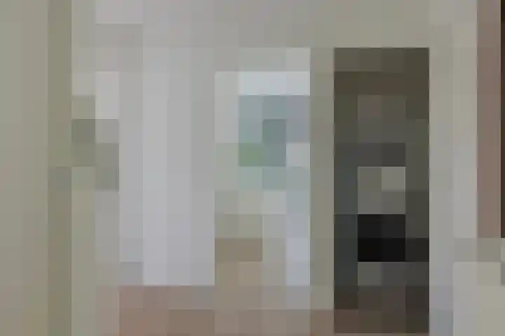Piet Heinstraat 52 Maarssen thumbnail 17