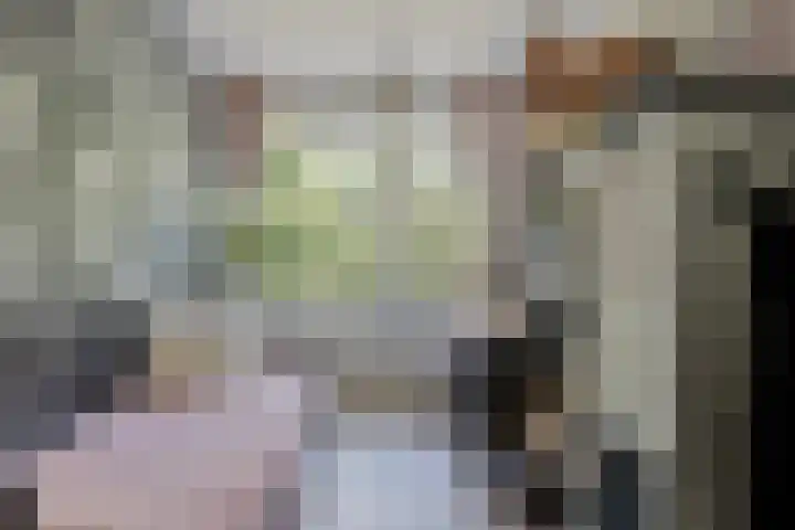 Piet Heinstraat 52 Maarssen thumbnail 22