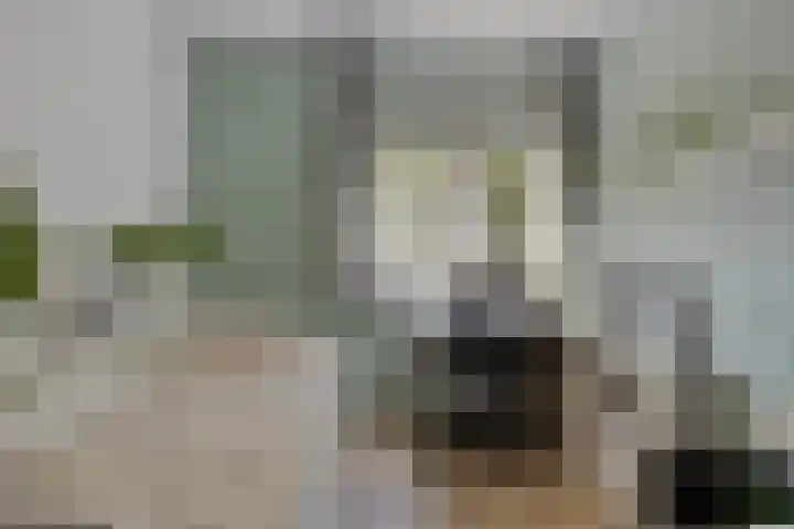 Piet Heinstraat 52 Maarssen thumbnail 23