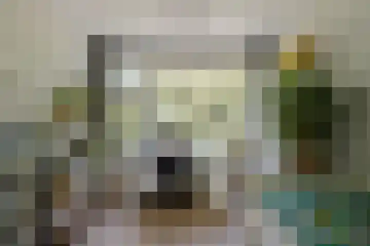 Piet Heinstraat 52 Maarssen thumbnail 25