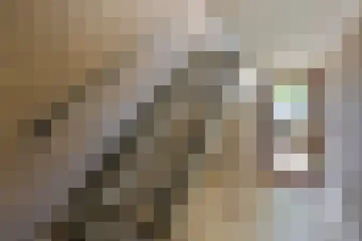 Piet Heinstraat 52 Maarssen thumbnail 27