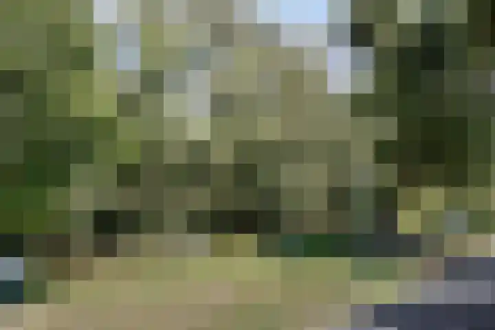 Piet Heinstraat 52 Maarssen thumbnail 29