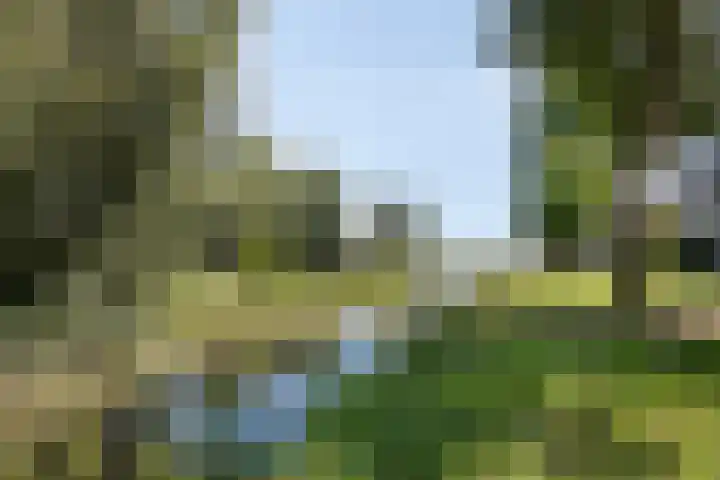 Piet Heinstraat 52 Maarssen thumbnail 30