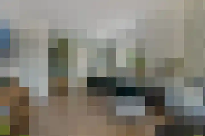 Piet Heinstraat 52 Maarssen thumbnail 5